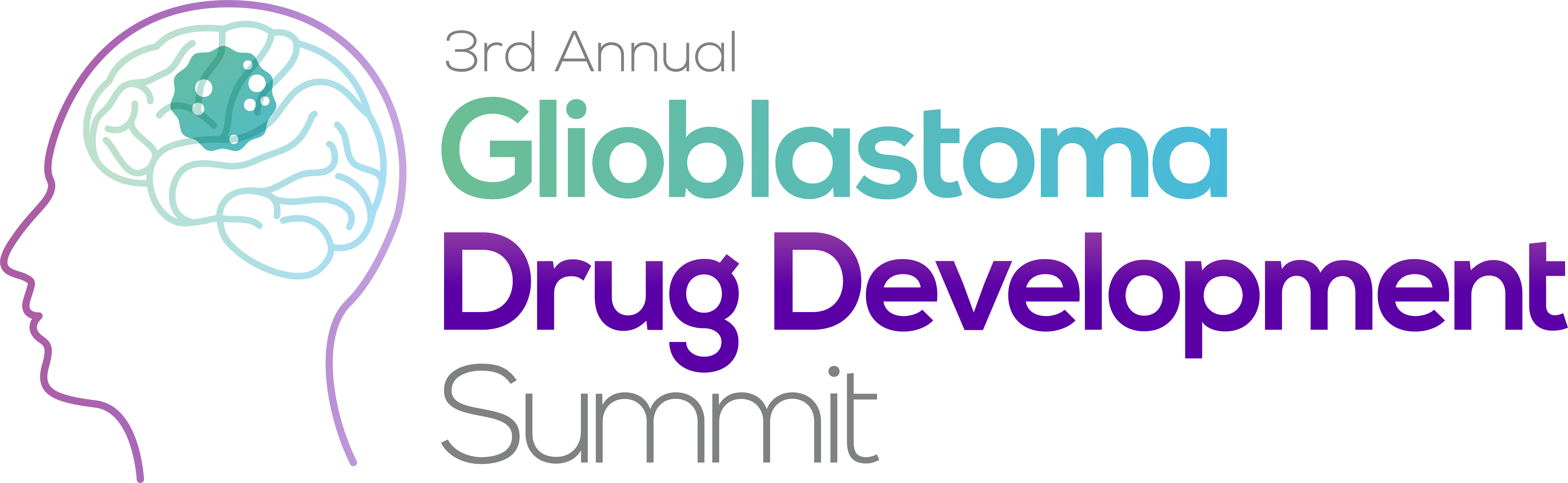 22295 3rd Glioblastoma Drug Development Summit logo